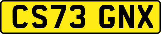 CS73GNX