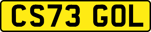 CS73GOL