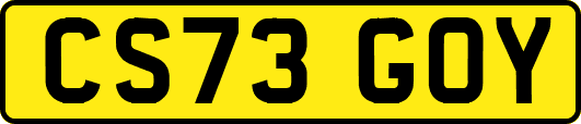 CS73GOY
