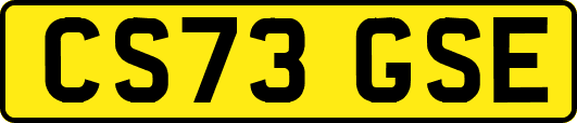 CS73GSE