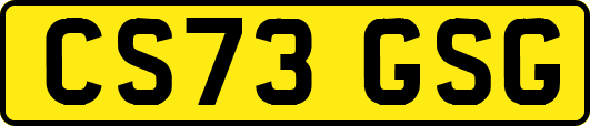 CS73GSG