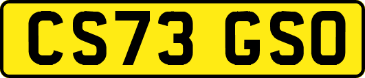 CS73GSO