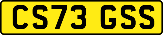CS73GSS