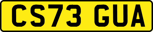 CS73GUA