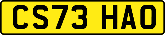 CS73HAO