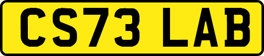 CS73LAB