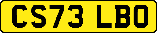 CS73LBO