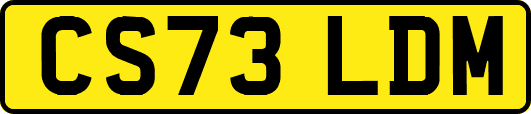 CS73LDM