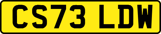 CS73LDW
