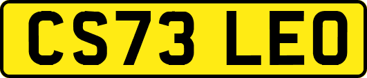 CS73LEO