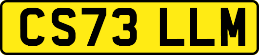 CS73LLM