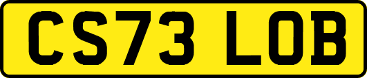 CS73LOB