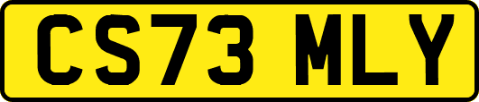 CS73MLY