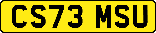 CS73MSU