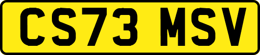 CS73MSV