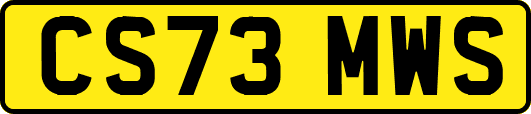 CS73MWS