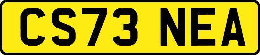 CS73NEA