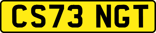 CS73NGT