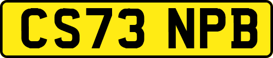 CS73NPB