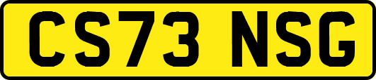 CS73NSG