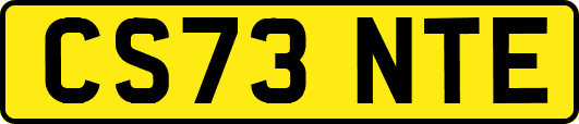 CS73NTE