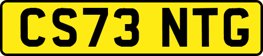 CS73NTG