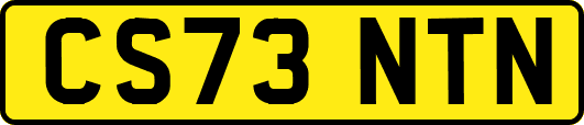 CS73NTN