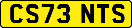 CS73NTS