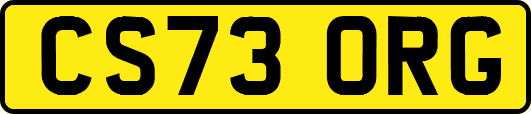 CS73ORG