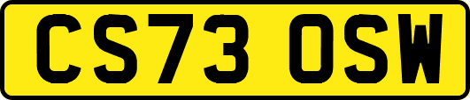 CS73OSW