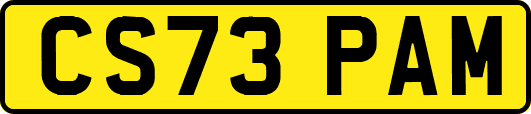 CS73PAM