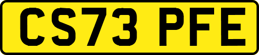 CS73PFE