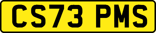 CS73PMS