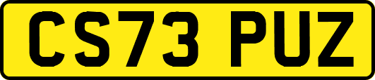 CS73PUZ