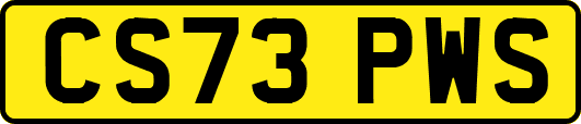 CS73PWS