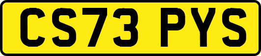 CS73PYS