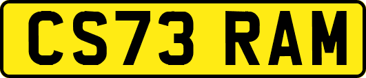 CS73RAM