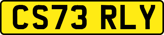 CS73RLY