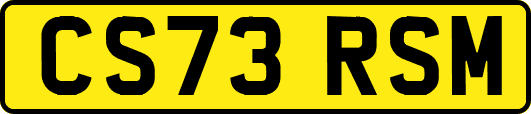 CS73RSM
