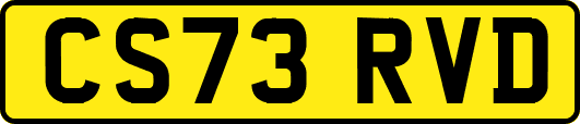 CS73RVD