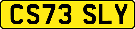 CS73SLY