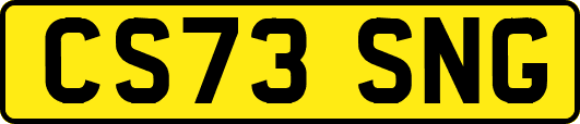CS73SNG