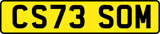 CS73SOM