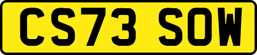CS73SOW