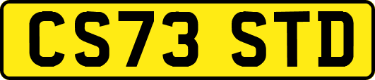 CS73STD