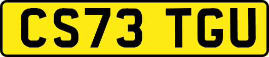 CS73TGU