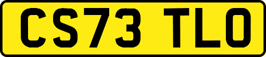 CS73TLO