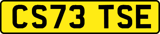 CS73TSE