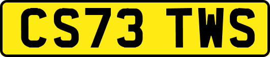 CS73TWS