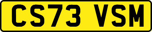 CS73VSM